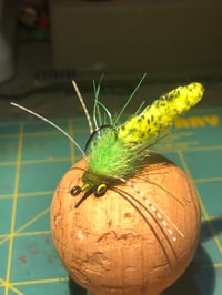 Image 3 of Carp Duster