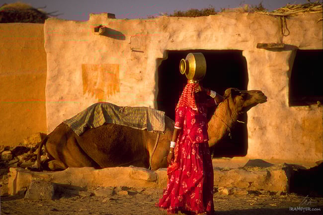 People Need Water When Camels Don't
