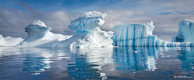 Icebergs Reflected