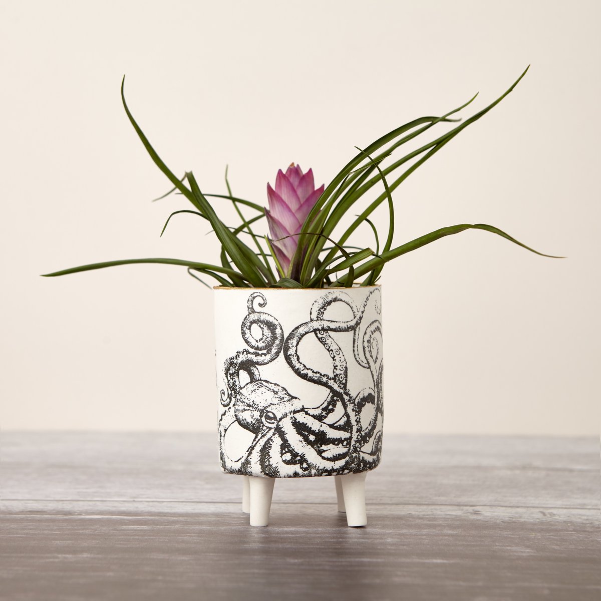 Porcelain leggy octopus planter