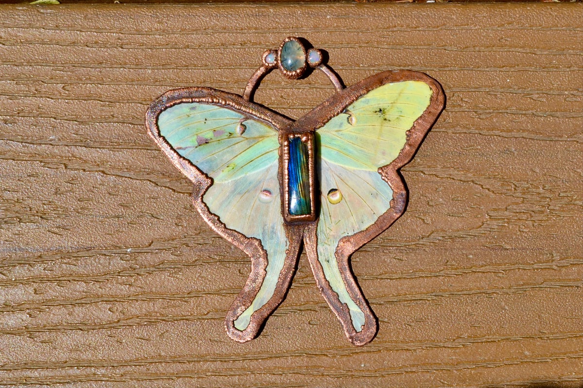 Luna Moth Pendant/ Wall Decor