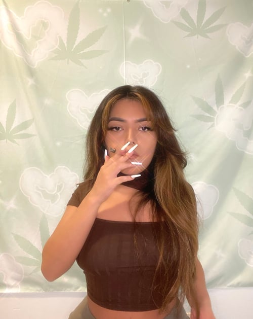 Image of 420 Sage Green Tapestry