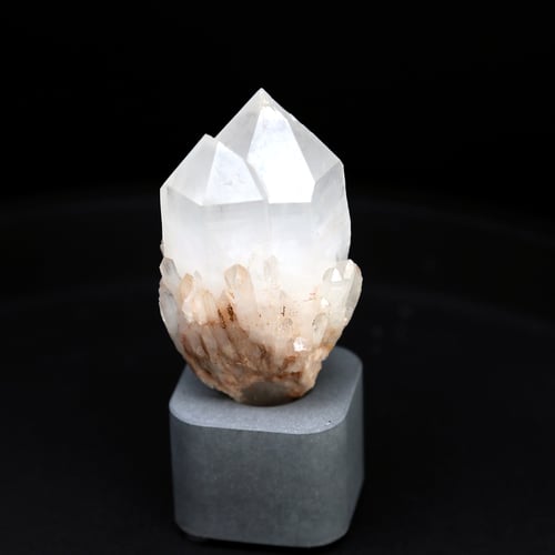 Image of 紅皮菠蘿側芽 雙生晶簇 | W.H.