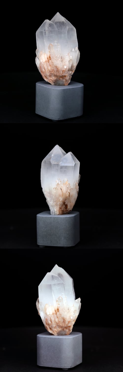 Image of 紅皮菠蘿側芽 雙生晶簇 | W.H.