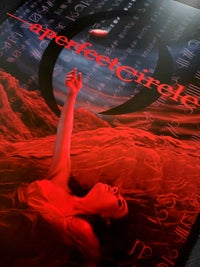 Image 4 of A Perfect Circle  - Offical Mer de Noms 2Oth Anniversary Lithograph