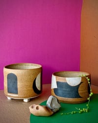 Planters