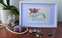 Image 1 of Birds of paradise in a silver tea pot