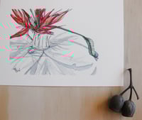Image 3 of Birds of paradise in a silver tea pot