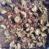 Delicious fudge 