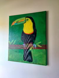 Image 4 of The Toucan