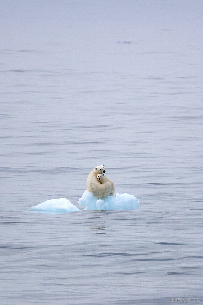 A Poignant Moment (#2)