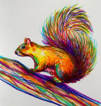 Rainbow Squirrel print 