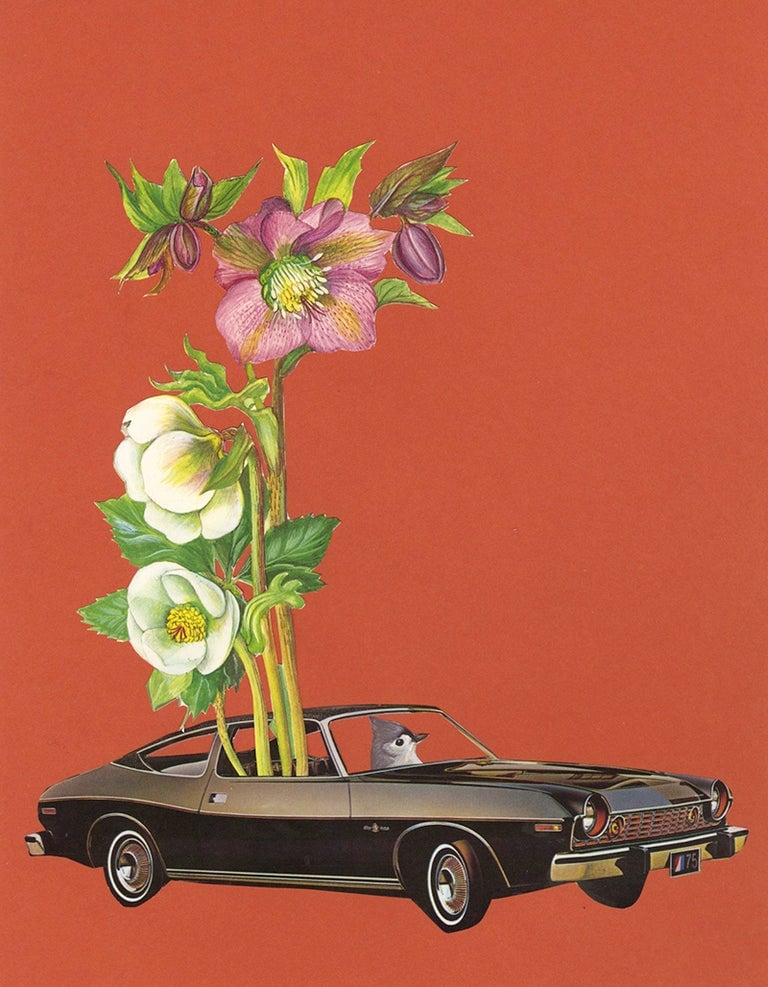 Image of Hellebores on wheels. Limited edition collage print.