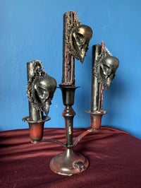 Image 1 of Resin Bird Skull Frames