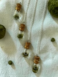 NECKLACE (SILVER COATED) W/ TINY MARIMO BOTTLE (AEGAGROPILA LINNAEI) 