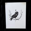 8.5x11 Raven Print