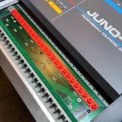 Image of Roland Juno-106, JX-3P, Alpha Juno 1 Style Key Contacts