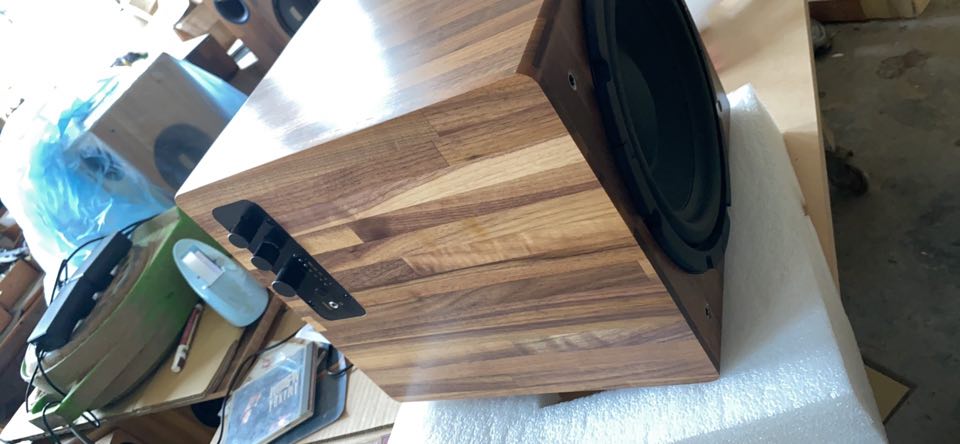 Image of 10" subwoofer for Lubos