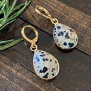 Image 1 of Dalmatian Jasper Drop Earrings