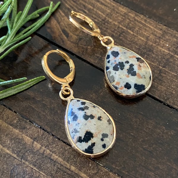 Image of Dalmatian Jasper Drop Earrings