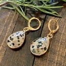 Image 2 of Dalmatian Jasper Drop Earrings