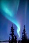 Aurora Borealis #11 