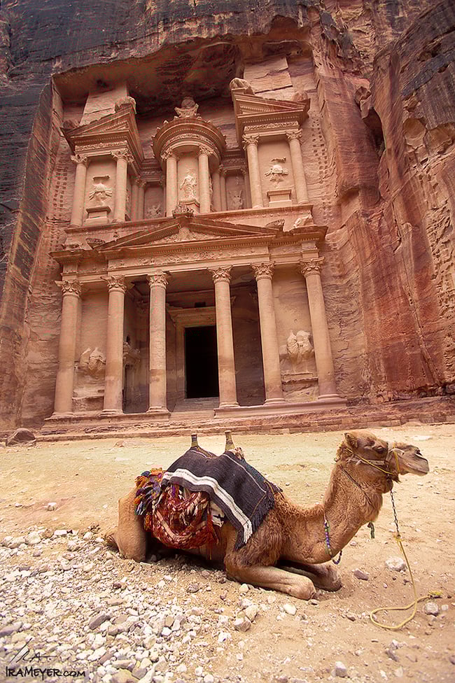 Camel in Front of the Treasury