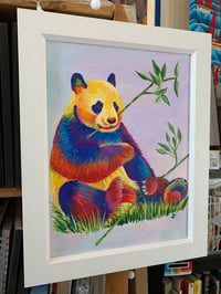 Image 2 of Peter the rainbow Panda