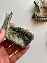 Image 2 of Skull Fragments (wall art)