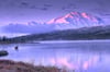 Mt. McKinley Sunrise/ Moose in Wonder Lake
