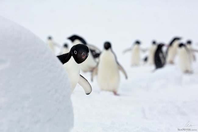 Looking Around the Corner