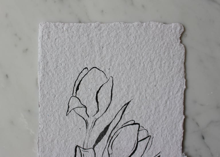 Norma's tulips i Image 5