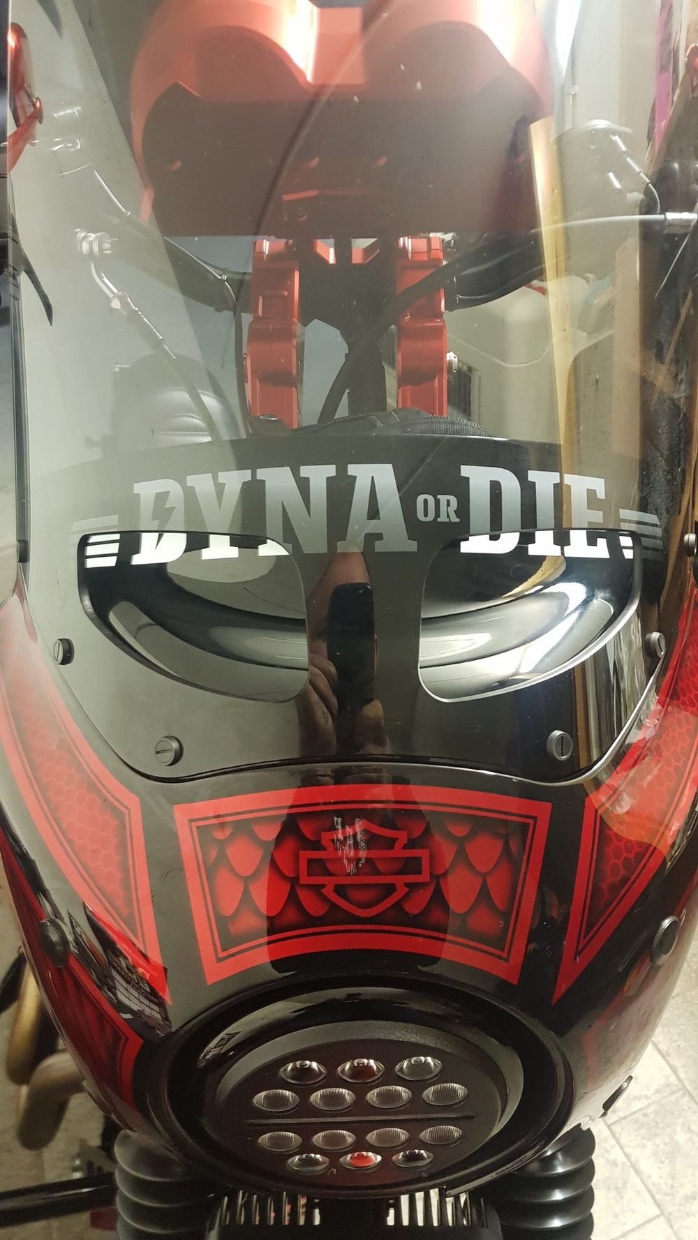 Dyna or Die swingarm decal white