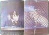 Dogs Of The Bins By Max Schweizer