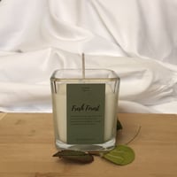 Fresh Forest 7oz Candle
