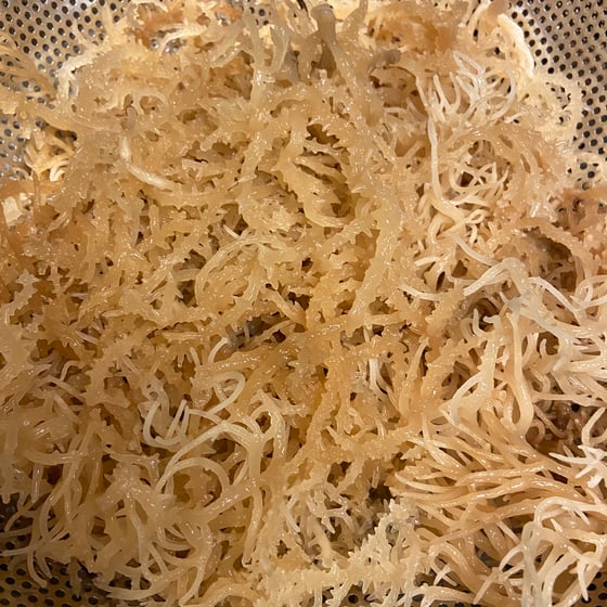 Image of 1 lb Raw wild crafted sea moss 