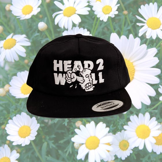 Image of Embroidered Wayne's World X H2W Snapback Hat