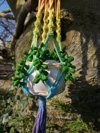 Image 2 of Rainbow pot holder with artificial plant