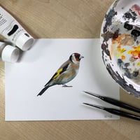 Image 5 of Gertie Goldfinch ~ Removable Wall sticker