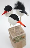 Tern(ing)heads, felt bird sculpture