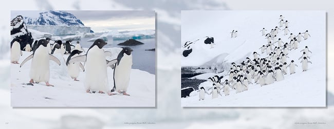 BOTH OF IRA'S  BOOKS