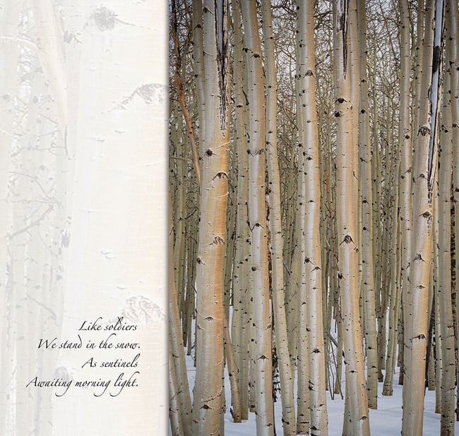 Suddenly the Sun Emerged