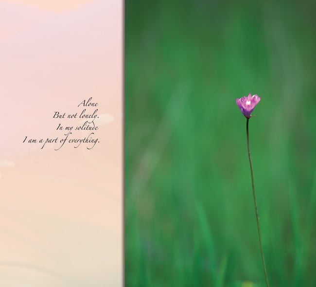 Suddenly the Sun Emerged