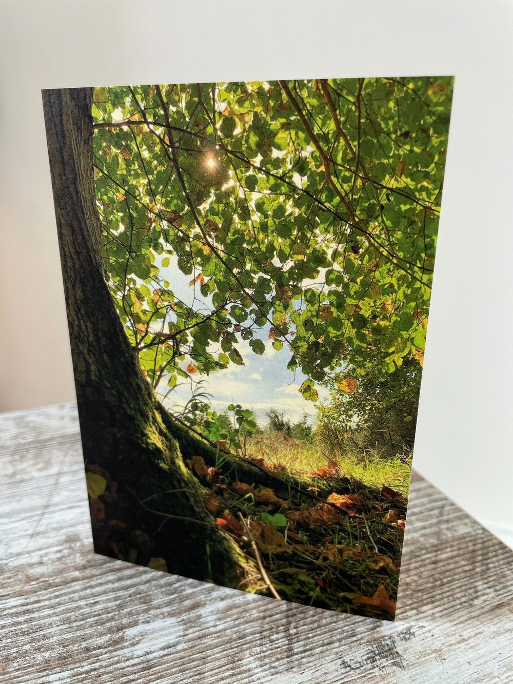 Image of Wonderland (Greeting Card)