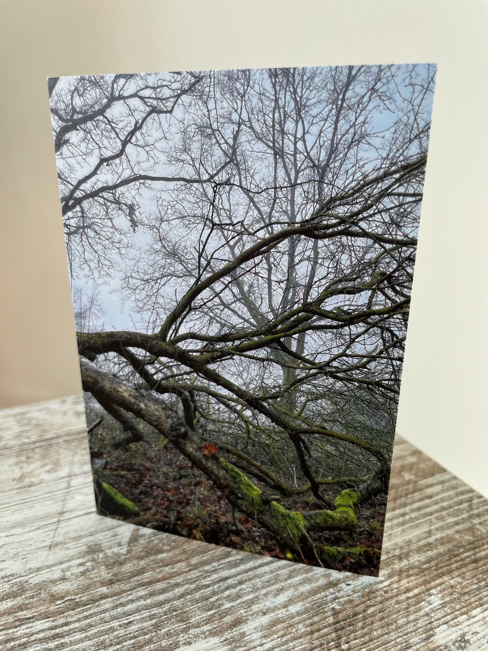 Image of Cobweb Corner (Greeting Card)