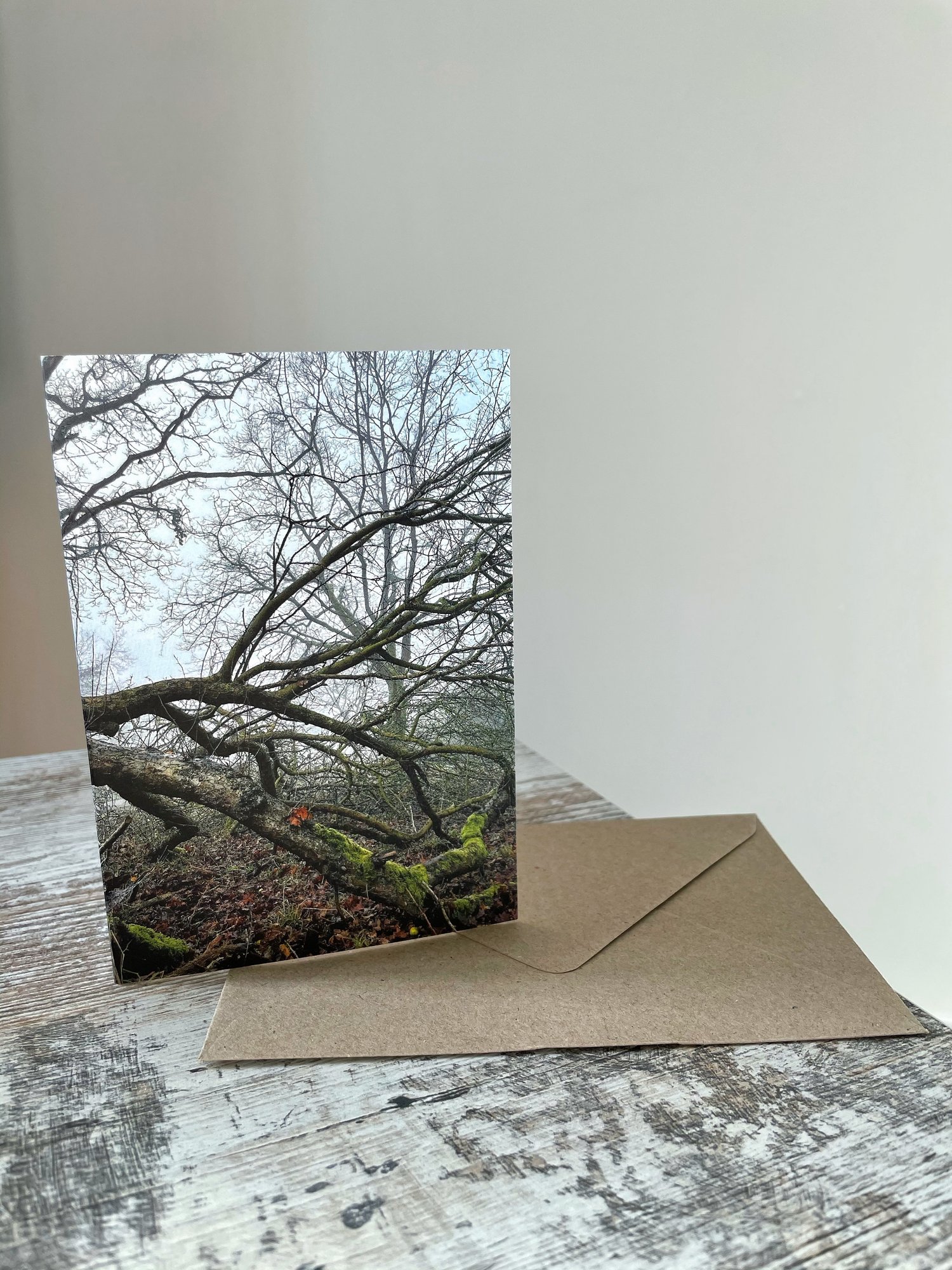 Image of Cobweb Corner (Greeting Card)