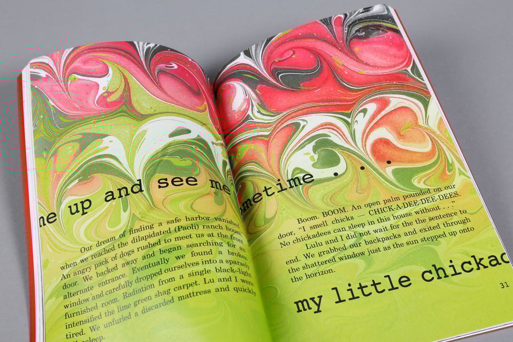 The Angel Baby Diaries by Cynthia Marsh