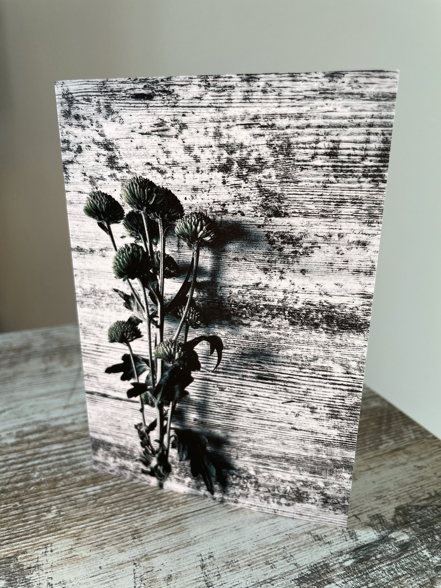 Image of Vintage Shadows (Greeting Card)