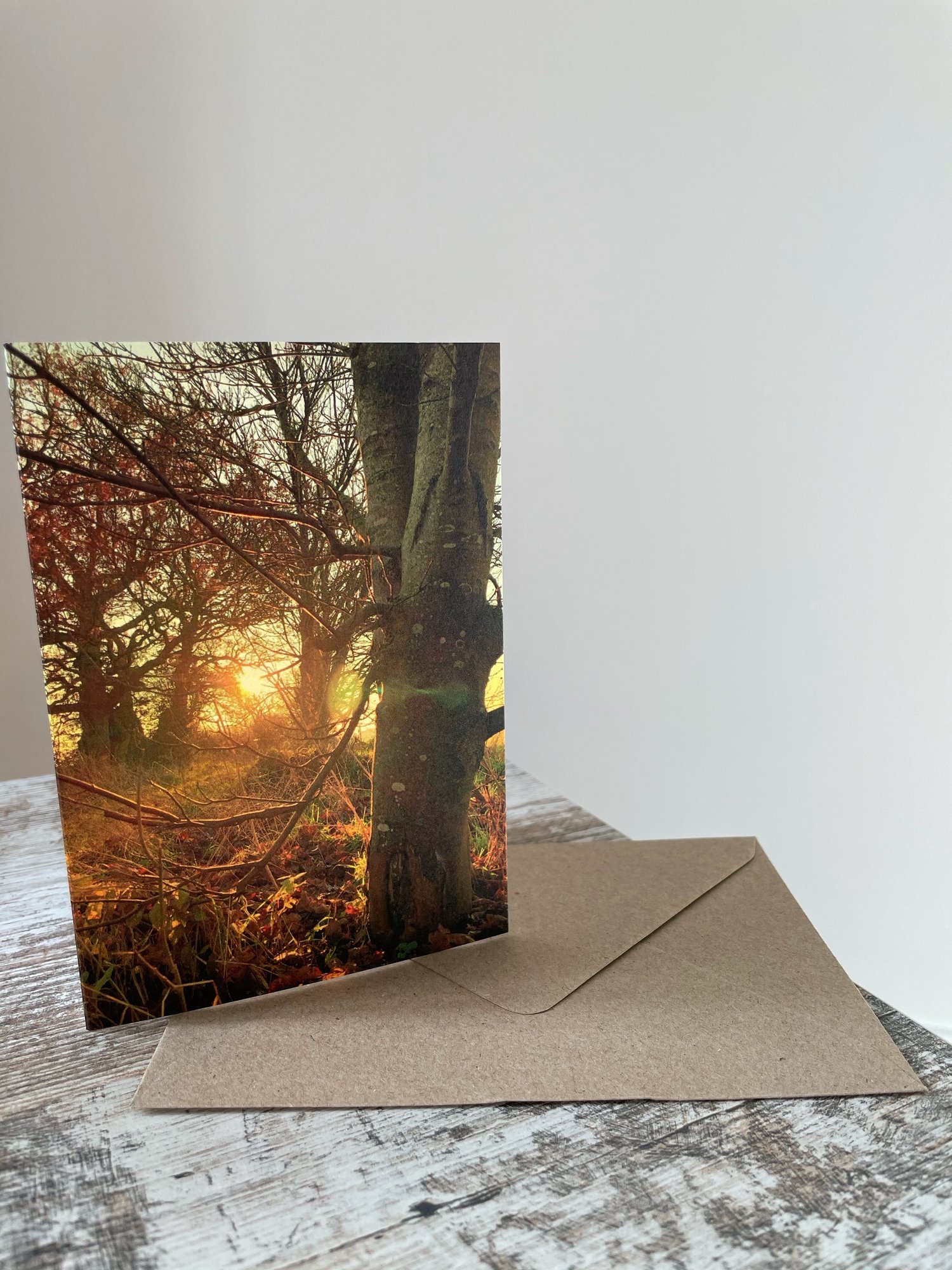 Image of Late Light (Greeting Card)