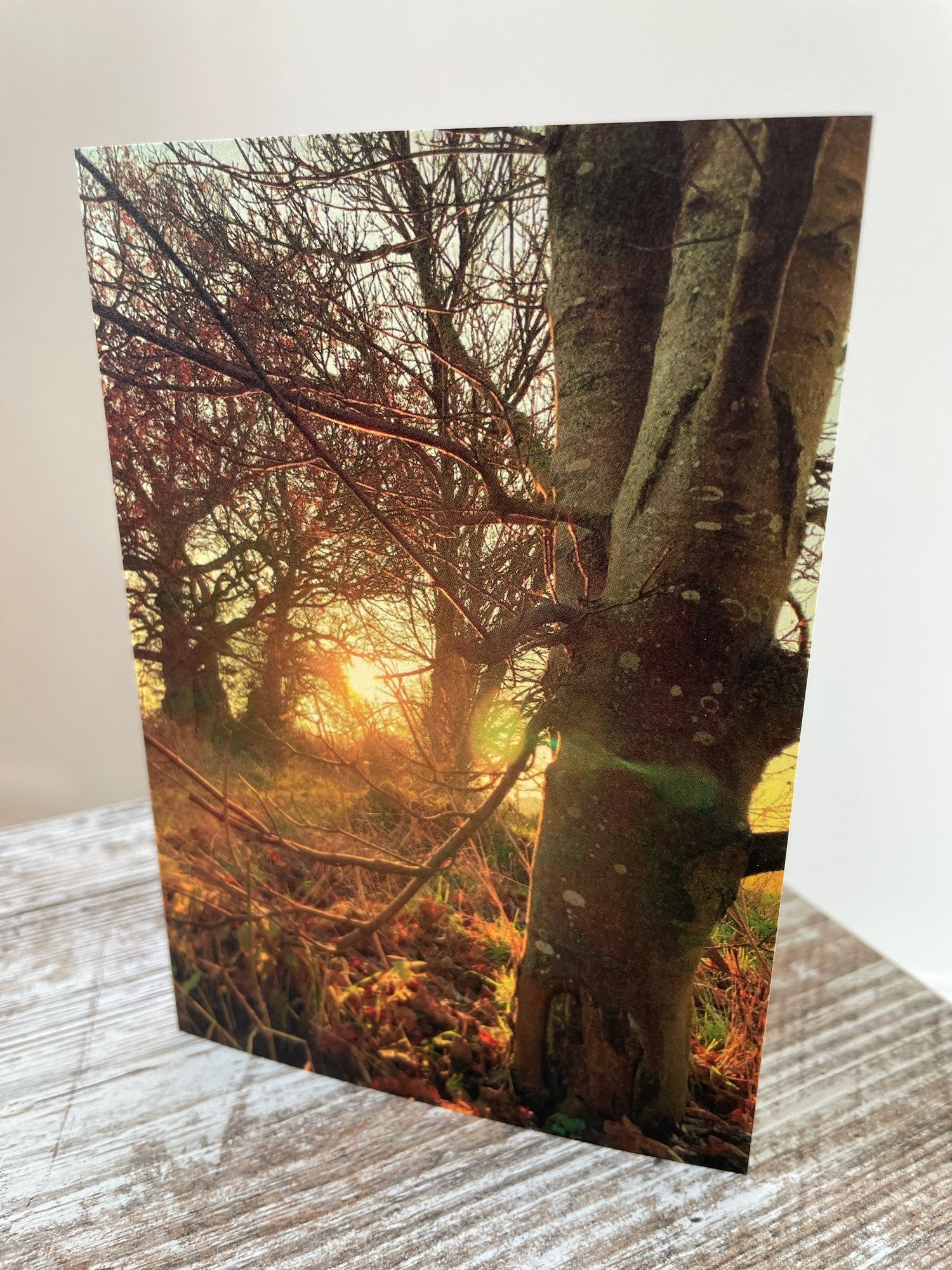Image of Late Light (Greeting Card)